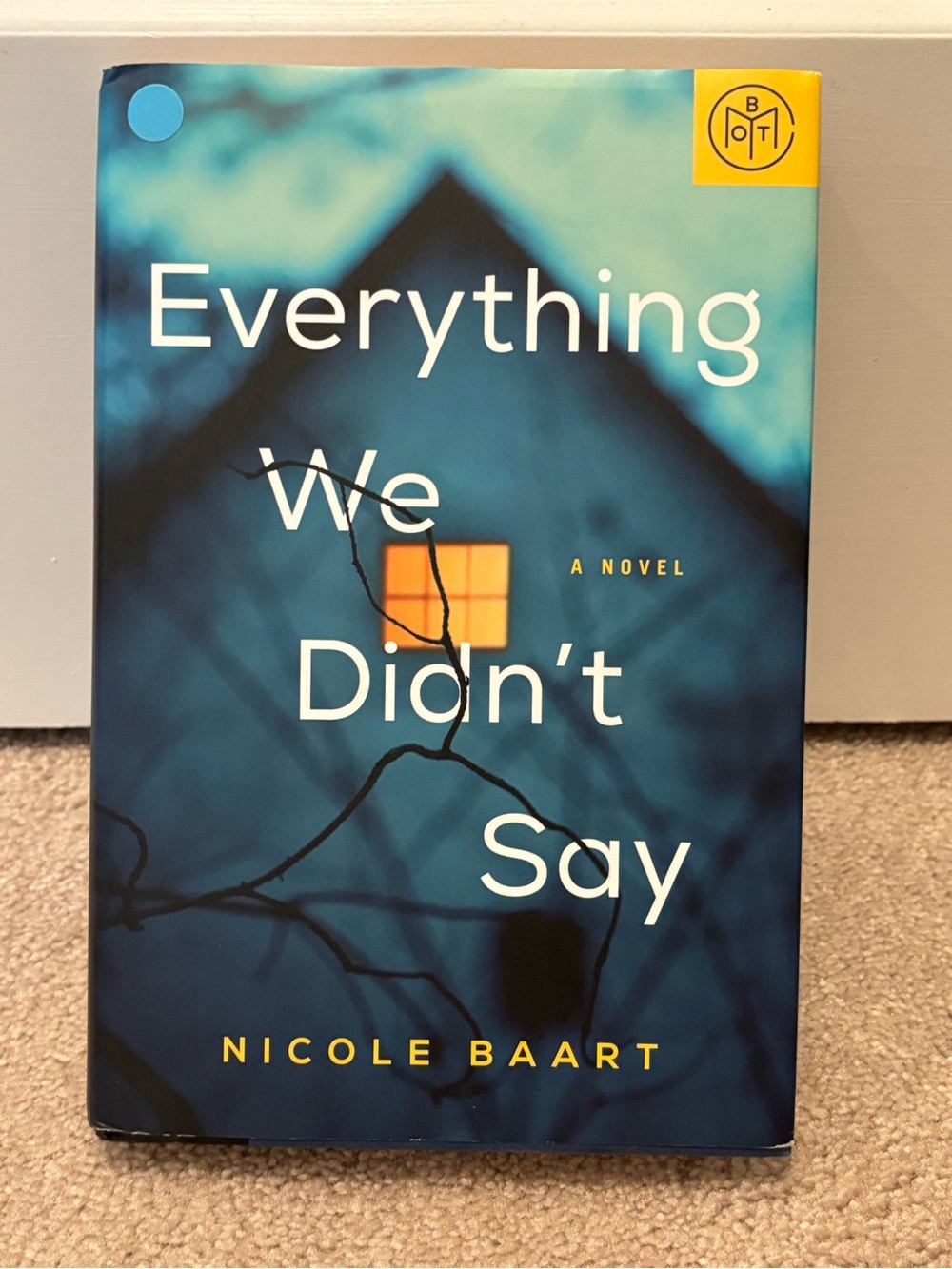 Everything We Didn't Say Nicole Baart Hard Cover Book Of The Month Club
